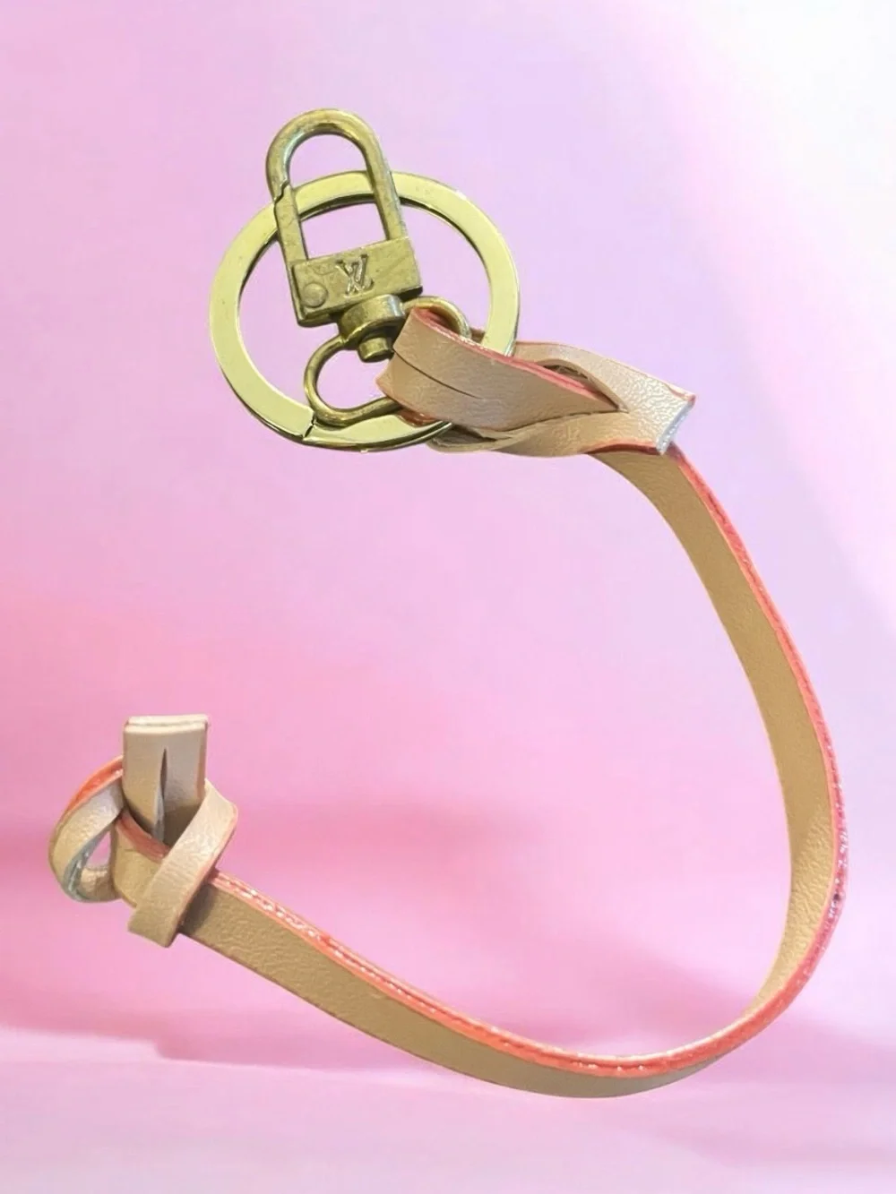 Louis Vuitton elegant leather